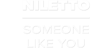 NILETTO — Someone like you